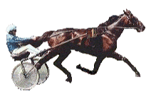 Resultat JANVIER 2008