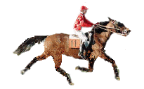  RESULTAT JANVIER 2008 en (cours)